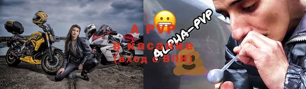 индика Нефтекумск