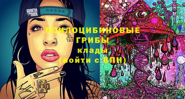 индика Нефтекумск
