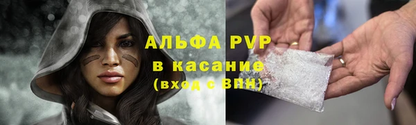 индика Нефтекумск
