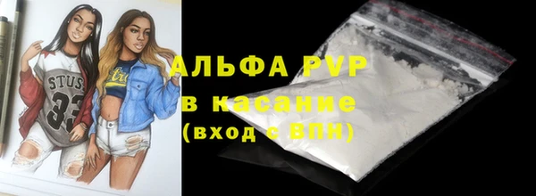 амф Новозыбков