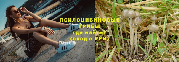 винт Нефтегорск