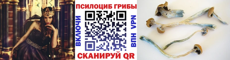 что такое наркотик  Электроугли  Галлюциногенные грибы GOLDEN TEACHER 